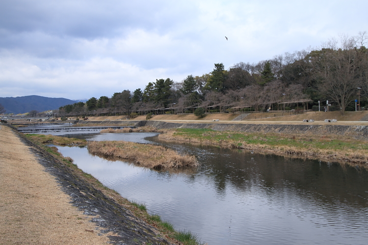 賀茂川ポタリング_e0051888_21204915.jpg