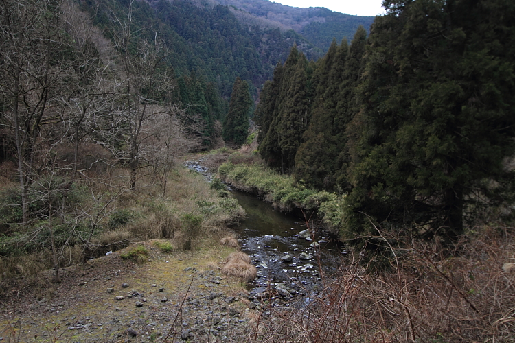 賀茂川ポタリング_e0051888_2122063.jpg