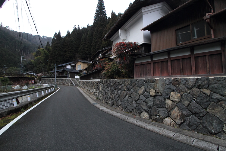 賀茂川ポタリング_e0051888_21242689.jpg