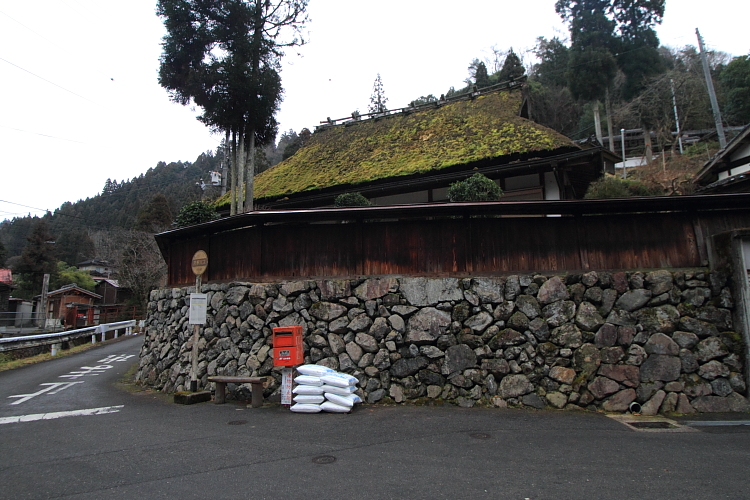 賀茂川ポタリング_e0051888_21245072.jpg
