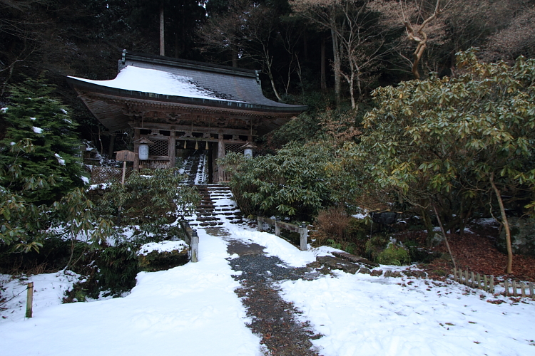 賀茂川ポタリング_e0051888_21261071.jpg