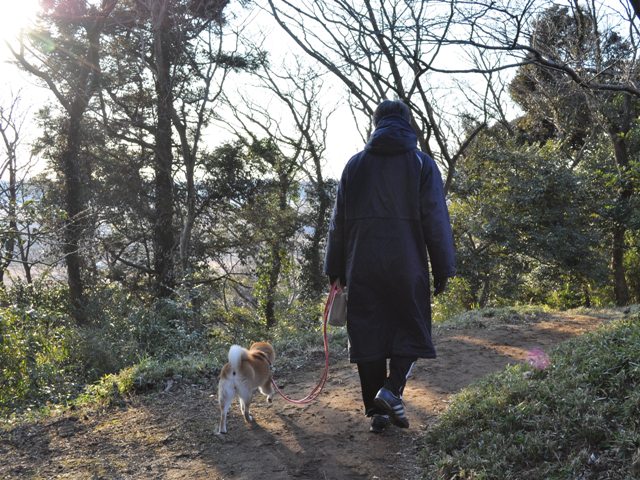 お散歩、ご一緒にいかが?_a0126590_5101627.jpg