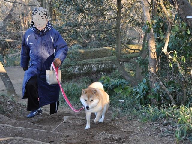 お散歩、ご一緒にいかが?_a0126590_510774.jpg