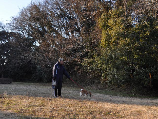 お散歩、ご一緒にいかが?_a0126590_5114965.jpg