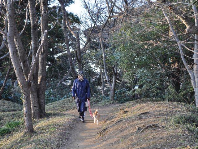 お散歩、ご一緒にいかが?_a0126590_511618.jpg