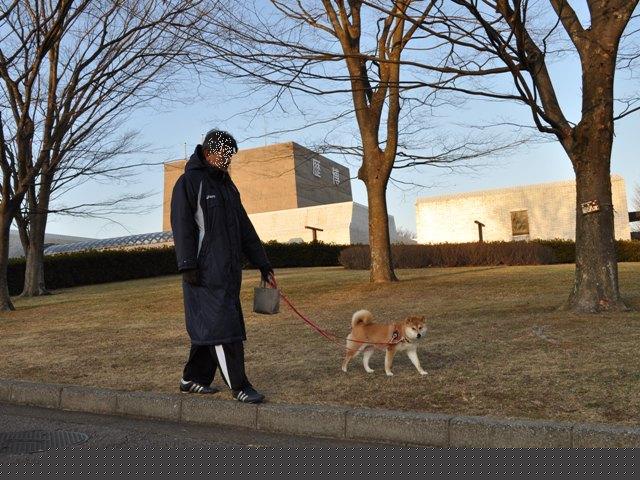 お散歩、ご一緒にいかが?_a0126590_5124028.jpg