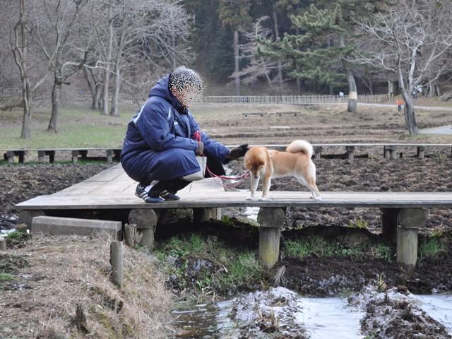 お散歩、ご一緒にいかが?_a0126590_5131797.jpg