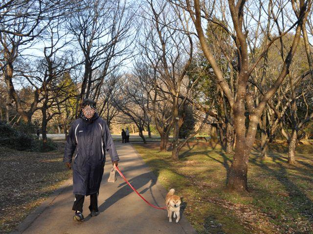 お散歩、ご一緒にいかが?_a0126590_593824.jpg