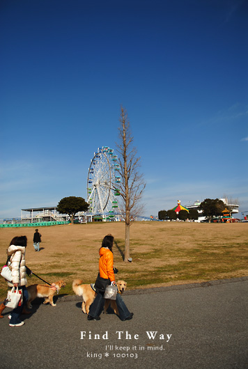 【犬的散歩日和】千葉・君津 〜 マザー牧場 2/3 _f0054594_359652.jpg