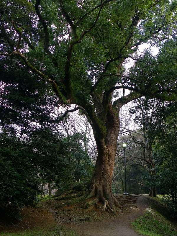 f0204094_1933392.jpg