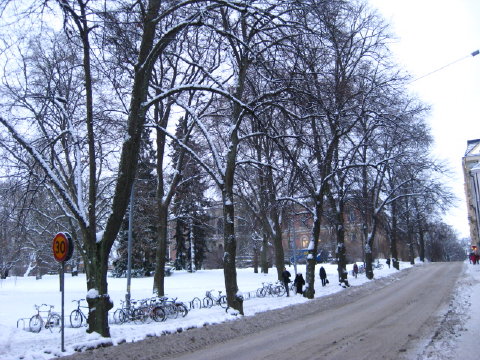 c0180096_3381133.jpg