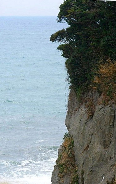 b0145398_23434564.jpg