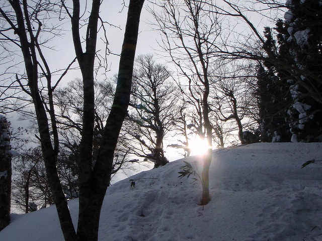 氷ノ山 BC 2010.1.20_c0147398_2335353.jpg