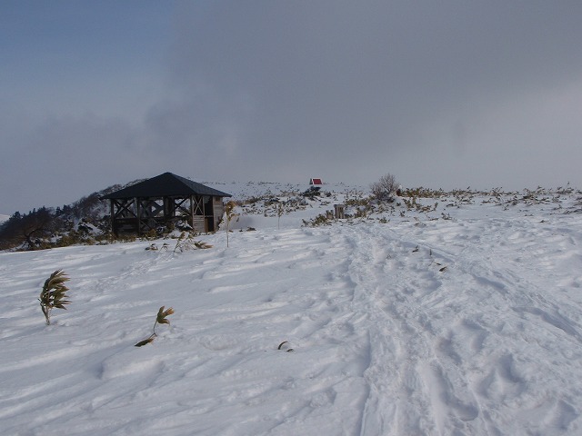 氷ノ山 BC 2010.1.20_c0147398_23362417.jpg