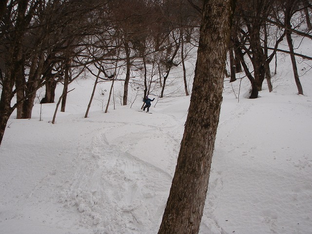 氷ノ山 BC 2010.1.20_c0147398_23393199.jpg