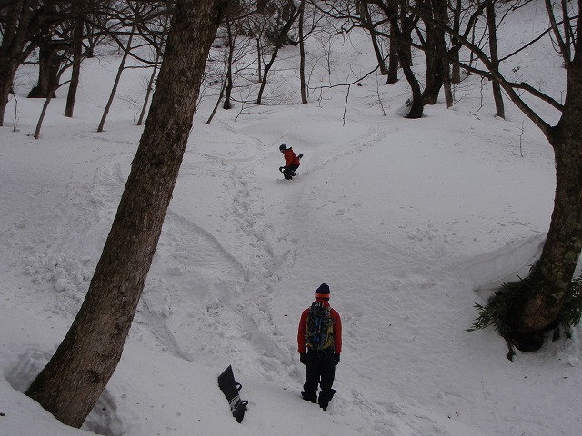 氷ノ山 BC 2010.1.20_c0147398_23394930.jpg
