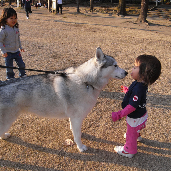 ちびちびわーるど　by GX100_c0049299_1533798.jpg