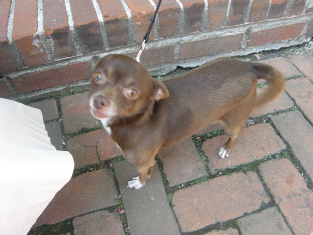 f0036603_16312841.jpg