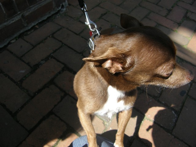 f0036603_16314247.jpg