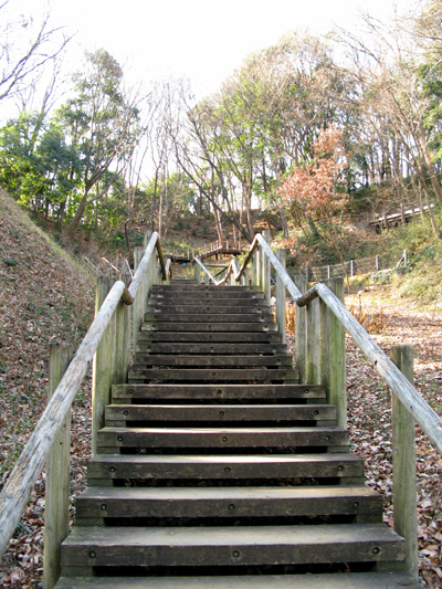 毎日・森林公園でぉ散歩三昧☆お友達にいっぱい遭遇_c0011204_22575999.jpg