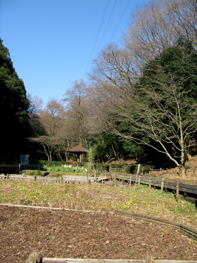 毎日・森林公園でぉ散歩三昧☆お友達にいっぱい遭遇_c0011204_238917.jpg