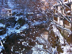 母と温泉 in 川治(二日目)_a0036808_11595290.jpg