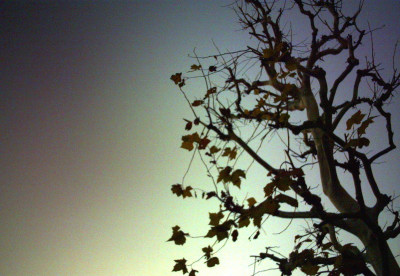 f0200114_1123359.jpg