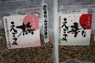 c0213817_16553444.jpg