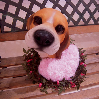 Valentine\'s Chico-Chicoバレンタインのちこり村_d0063218_1421376.jpg