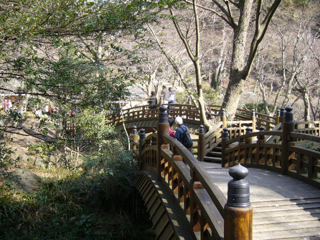 d0000324_15162568.jpg