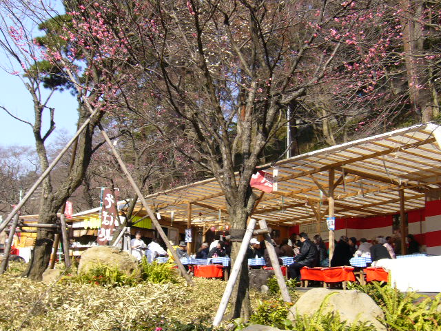 d0000324_1562341.jpg