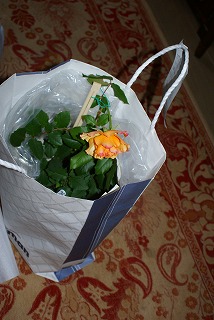 f0170524_14185835.jpg