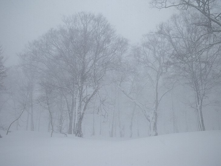 吹雪景色 制限なしで画像をダウンロードする