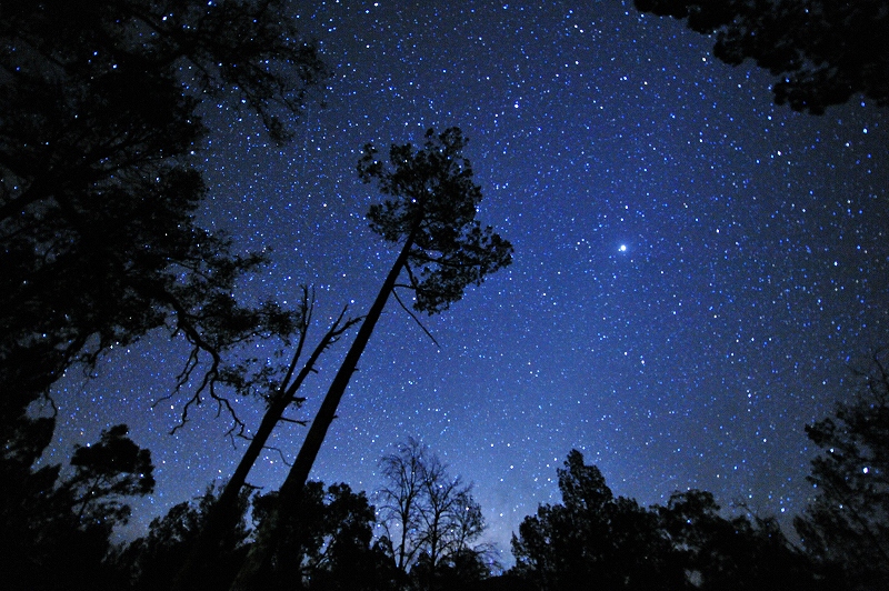 フリンダースレンジ　星踊る夜_f0050534_1533543.jpg
