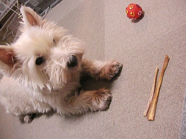 f0034444_10362024.jpg