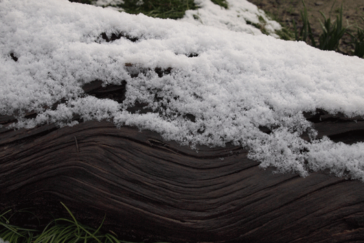 c0093046_19483710.gif
