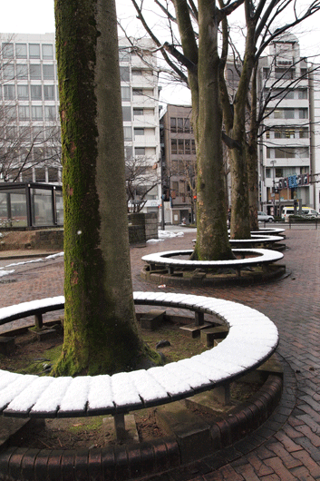 c0093046_19485021.gif