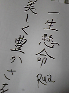 2010年　書初め_e0096647_2113196.jpg