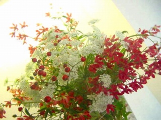 e0126350_23455463.jpg