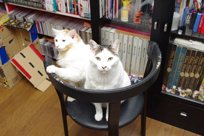 おかきとヨウカンさん_a0028451_142054.jpg