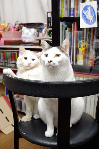 おかきとヨウカンさん_a0028451_1421255.jpg