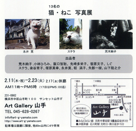 第1回 猫・ねこ 写真展 のご案内 Art Gallery 山手 横浜 ピンホール写真_f0117059_21152486.jpg