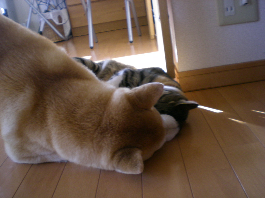 2010年1月22日(金)愛ちゃんの絵はどうなった?_f0060461_15235348.jpg