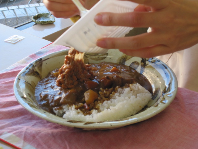 カレーに納豆を入れるべきか。_c0205379_1133658.jpg