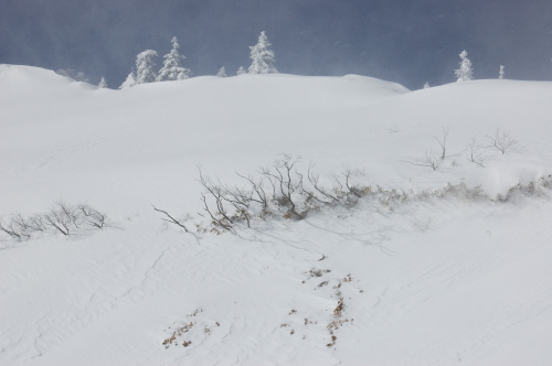 c0212083_13245234.jpg