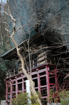 c0212083_2312877.jpg