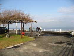 f0053885_2012161.jpg