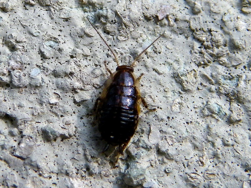 f0204094_2311683.jpg