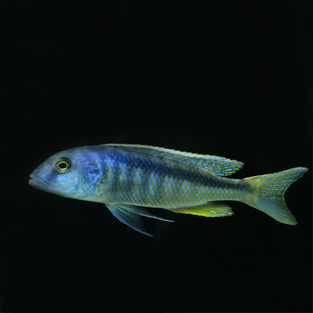 c0165800_23445052.jpg