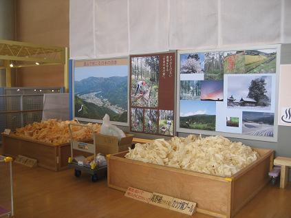 突然の割り込みごめんなさい 企画展「木のあるくらし」_f0073301_7325930.jpg